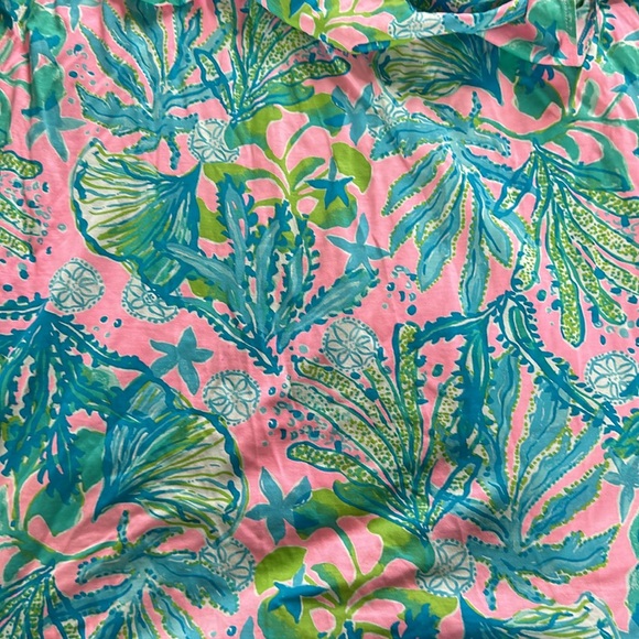 Lilly Pulitzer Dress - Picture 5 of 5